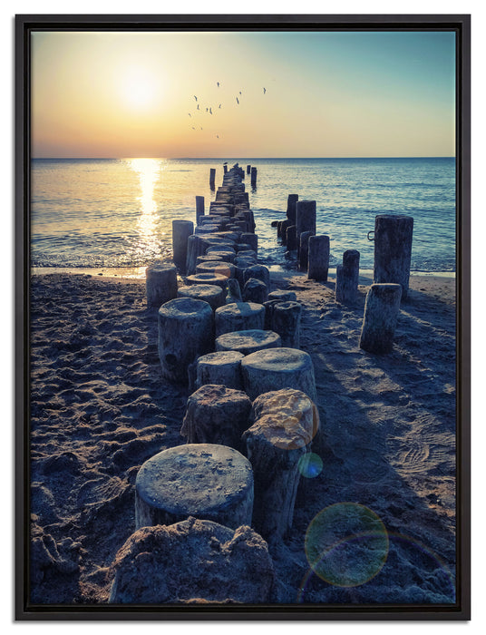 Baumstümpfe am Meer auf Leinwandbild gerahmt Größe 80x60