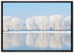 Schneebedeckte Bäume im Winter auf Leinwandbild gerahmt Größe 100x70