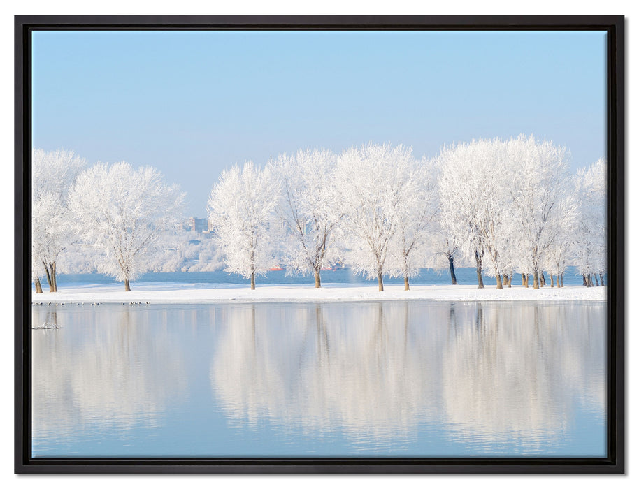 Schneebedeckte Bäume im Winter auf Leinwandbild gerahmt Größe 80x60