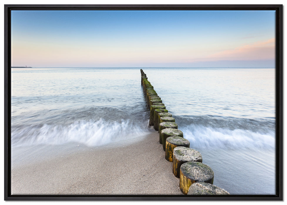 Baumstümpfe die ins Meer führen auf Leinwandbild gerahmt Größe 100x70
