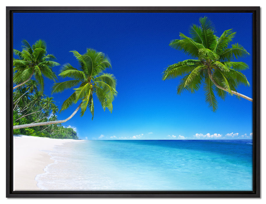 Palmen über dem Meer auf Leinwandbild gerahmt Größe 80x60