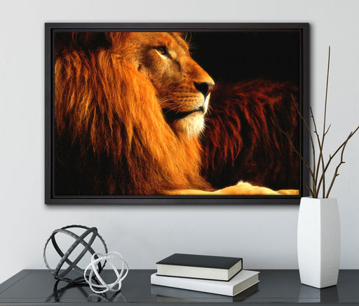 Majestätischer stolzer Löwe auf Leinwandbild gerahmt mit Kirschblüten