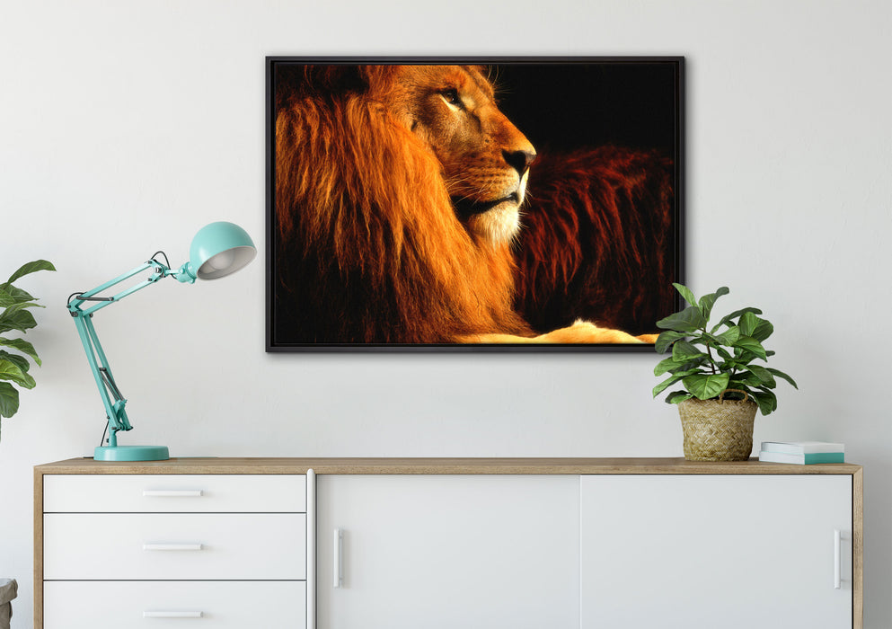 Majestätischer stolzer Löwe auf Leinwandbild gerahmt verschiedene Größen im Wohnzimmer