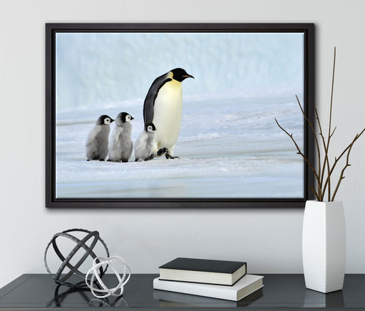 Kaiserpinguine im Schnee auf Leinwandbild gerahmt mit Kirschblüten
