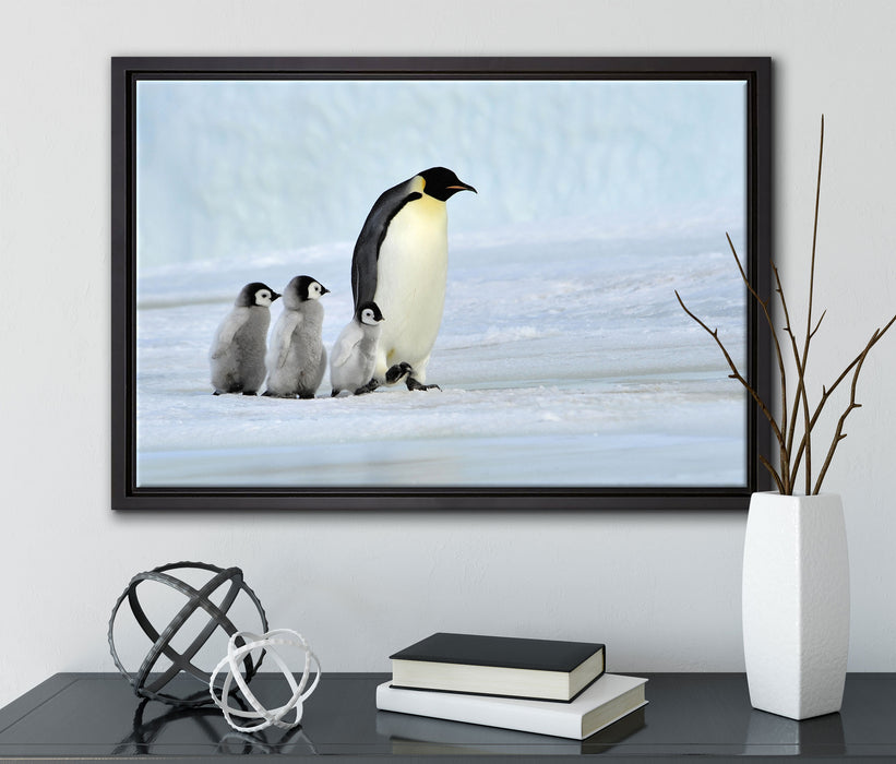 Kaiserpinguine im Schnee auf Leinwandbild gerahmt mit Kirschblüten