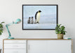 Kaiserpinguine im Schnee auf Leinwandbild gerahmt verschiedene Größen im Wohnzimmer