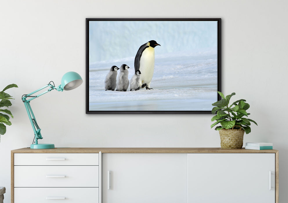 Kaiserpinguine im Schnee auf Leinwandbild gerahmt verschiedene Größen im Wohnzimmer