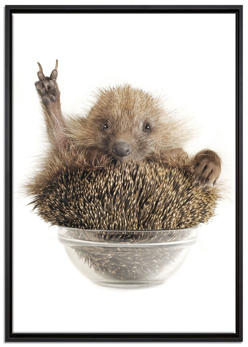 Igel in einer Schüssel Peace auf Leinwandbild gerahmt Größe 100x70