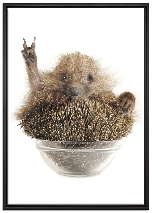 Igel in einer Schüssel Peace auf Leinwandbild gerahmt Größe 100x70