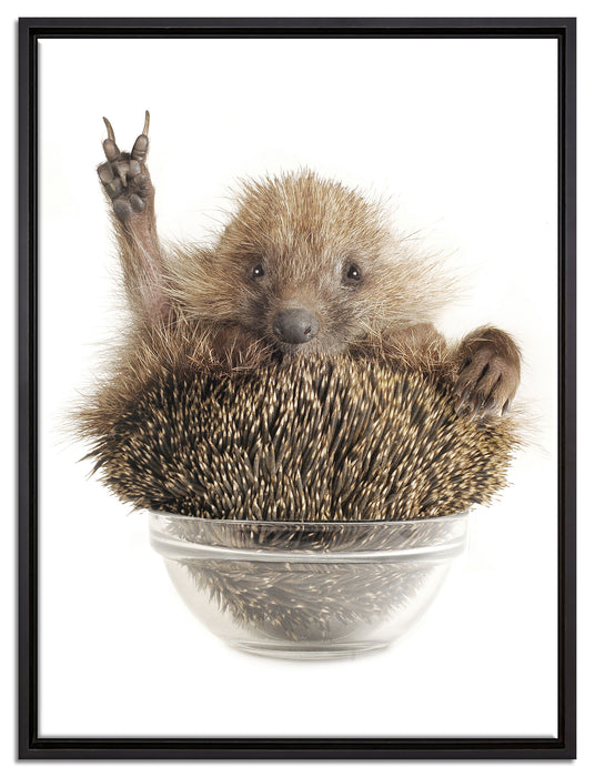 Igel in einer Schüssel Peace auf Leinwandbild gerahmt Größe 80x60