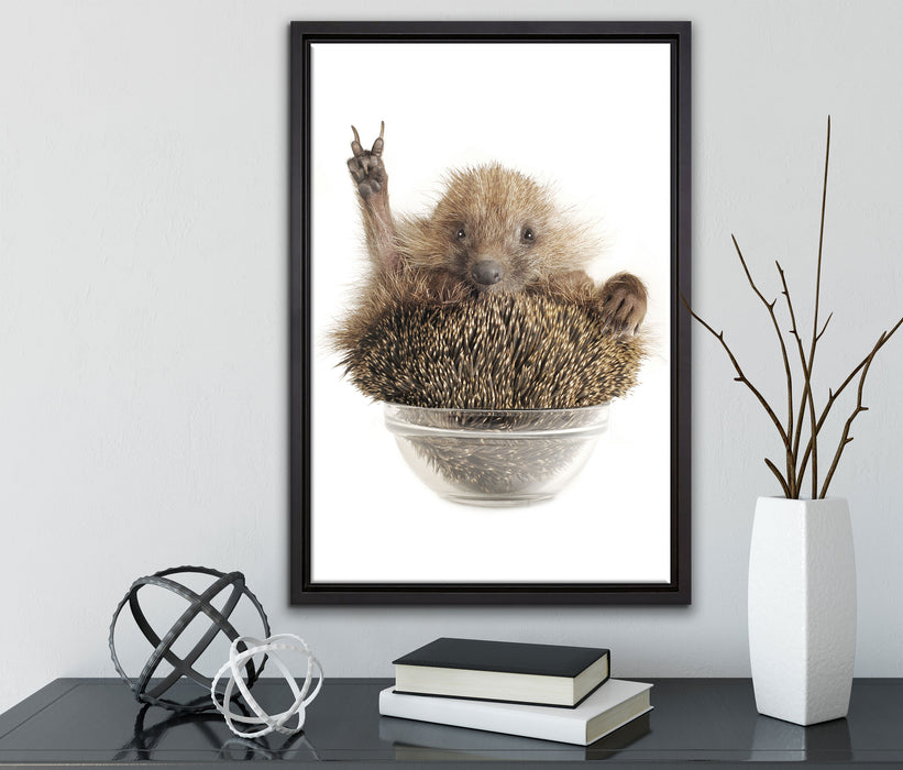 Igel in einer Schüssel Peace auf Leinwandbild gerahmt mit Kirschblüten