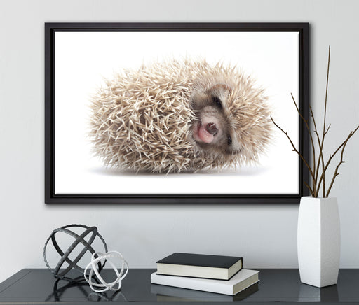 kleiner niedlicher Baby Igel auf Leinwandbild gerahmt mit Kirschblüten