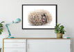 kleiner niedlicher Baby Igel auf Leinwandbild gerahmt verschiedene Größen im Wohnzimmer