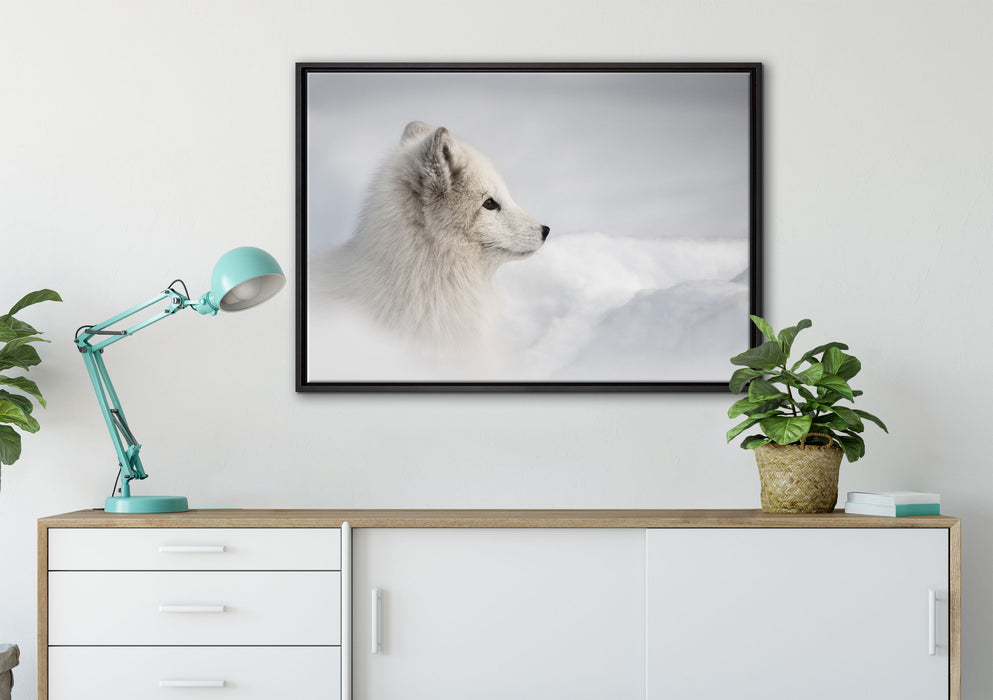 Anmutiger Polarfuchs im Schnee auf Leinwandbild gerahmt verschiedene Größen im Wohnzimmer