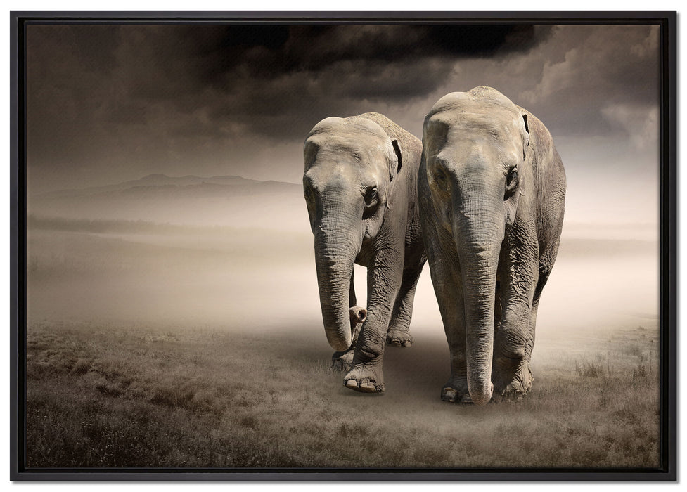 Zwei Elefanten in Steppe auf Leinwandbild gerahmt Größe 100x70