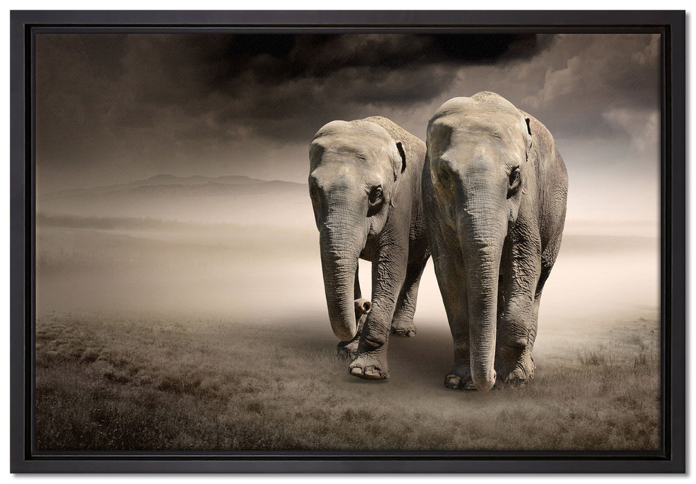 Zwei Elefanten in Steppe auf Leinwandbild gerahmt Größe 60x40