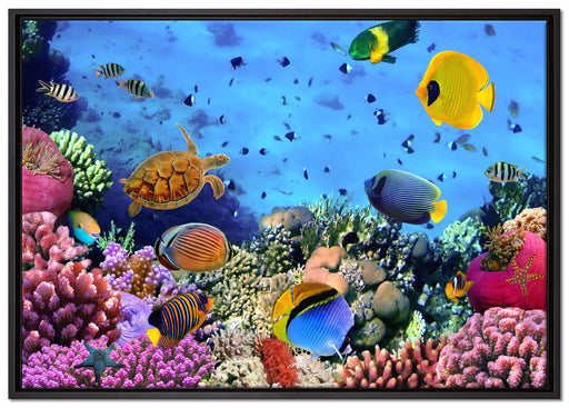 Fische über Korallenriff auf Leinwandbild gerahmt Größe 100x70