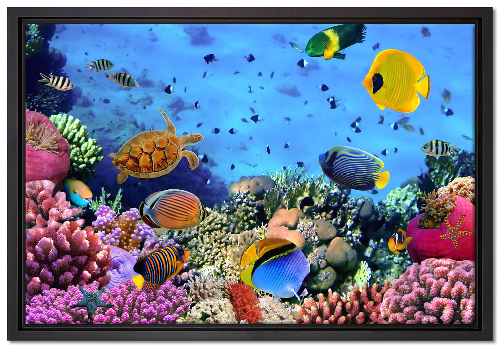 Fische über Korallenriff auf Leinwandbild gerahmt Größe 60x40