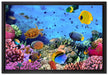 Fische über Korallenriff auf Leinwandbild gerahmt Größe 60x40