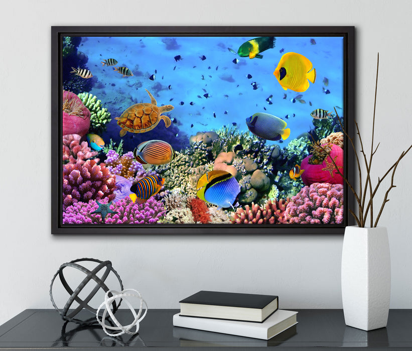 Fische über Korallenriff auf Leinwandbild gerahmt mit Kirschblüten