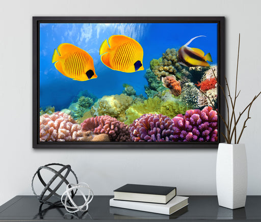 Fische Korallenriff auf Leinwandbild gerahmt mit Kirschblüten