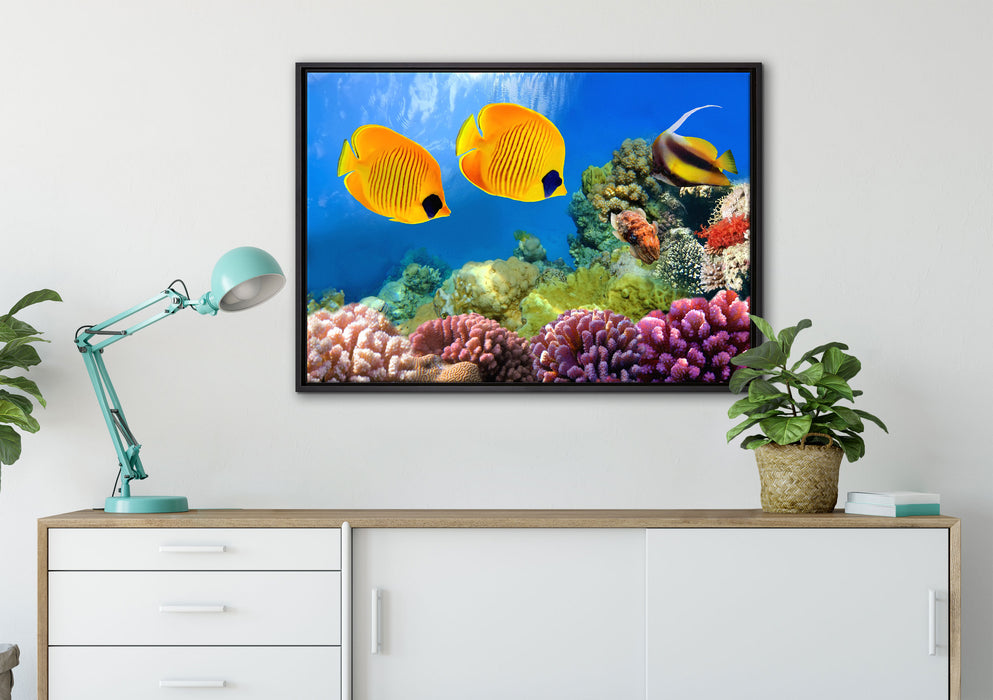 Fische Korallenriff auf Leinwandbild gerahmt verschiedene Größen im Wohnzimmer