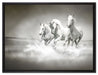 Pferde rennen im Wasser auf Leinwandbild gerahmt Größe 80x60