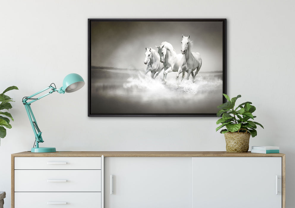 Pferde rennen im Wasser auf Leinwandbild gerahmt verschiedene Größen im Wohnzimmer