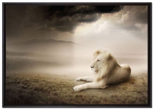 Stolzer weißer Löwenkönig auf Leinwandbild gerahmt Größe 100x70