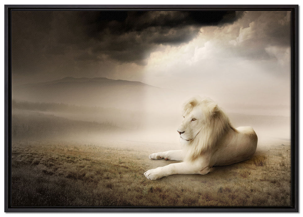 Stolzer weißer Löwenkönig auf Leinwandbild gerahmt Größe 100x70