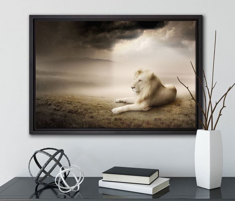 Stolzer weißer Löwenkönig auf Leinwandbild gerahmt mit Kirschblüten