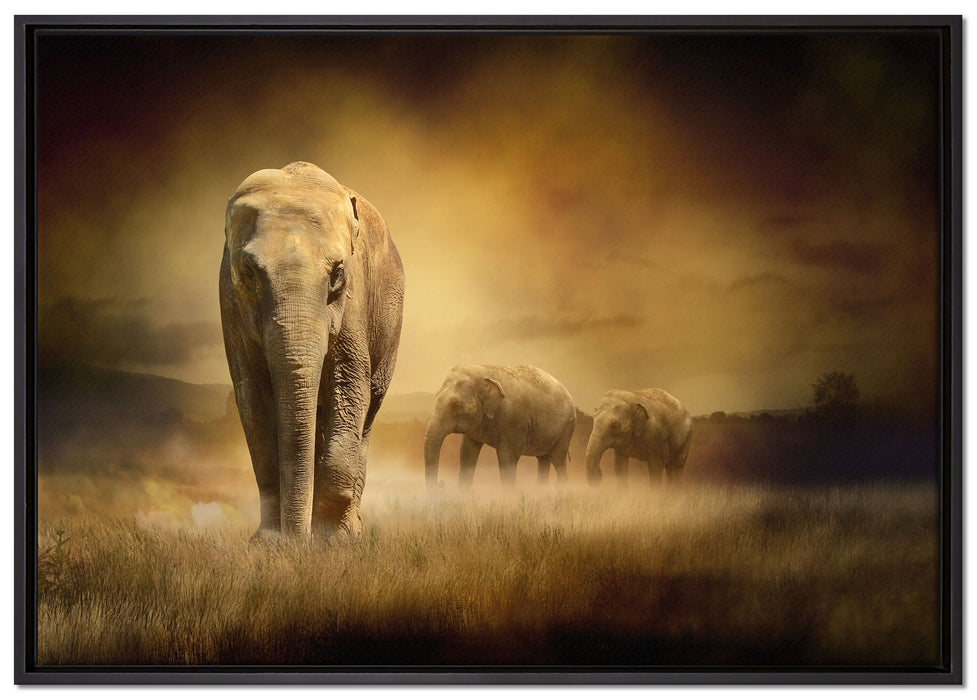 Prächtiger Elefanten in Steppe auf Leinwandbild gerahmt Größe 100x70