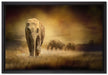 Prächtiger Elefanten in Steppe auf Leinwandbild gerahmt Größe 60x40