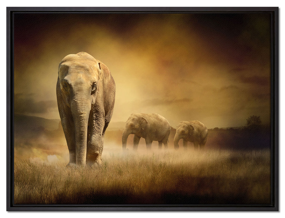Prächtiger Elefanten in Steppe auf Leinwandbild gerahmt Größe 80x60