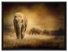 Prächtiger Elefanten in Steppe auf Leinwandbild gerahmt Größe 80x60