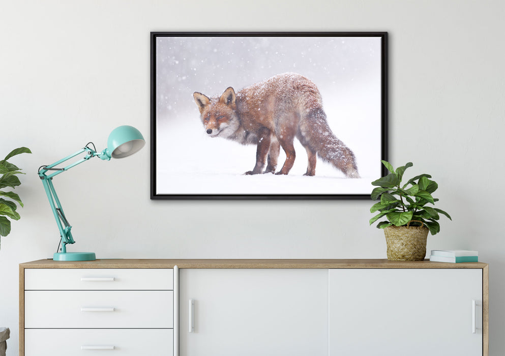 Roter Fuchs im Schneegestöber auf Leinwandbild gerahmt verschiedene Größen im Wohnzimmer