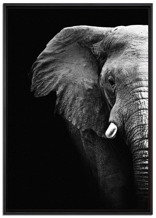 Elefant Porträt auf Leinwandbild gerahmt Größe 100x70