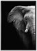 Elefant Porträt auf Leinwandbild gerahmt Größe 100x70