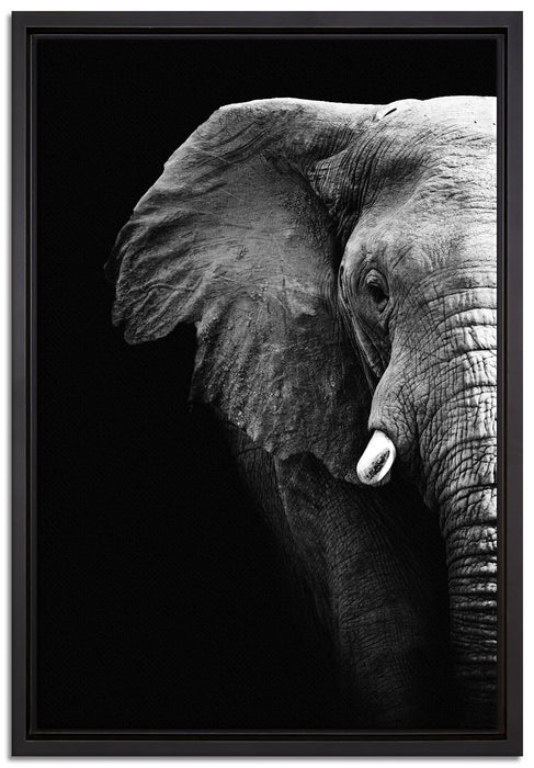 Elefant Porträt auf Leinwandbild gerahmt Größe 60x40