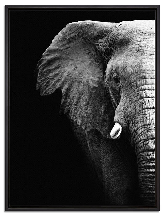 Elefant Porträt auf Leinwandbild gerahmt Größe 80x60