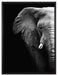 Elefant Porträt auf Leinwandbild gerahmt Größe 80x60