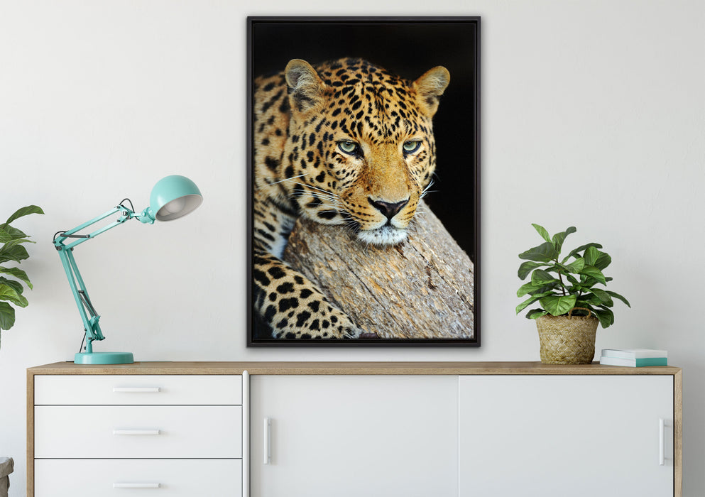 Ruhiger Leopard auf Leinwandbild gerahmt verschiedene Größen im Wohnzimmer