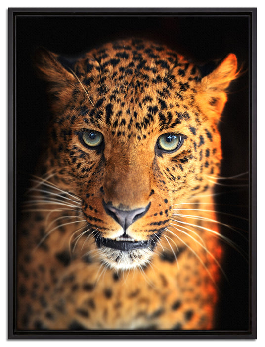 Stolzer Leopard auf Leinwandbild gerahmt Größe 80x60