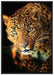 Anmutiger Leopard auf Leinwandbild gerahmt Größe 100x70