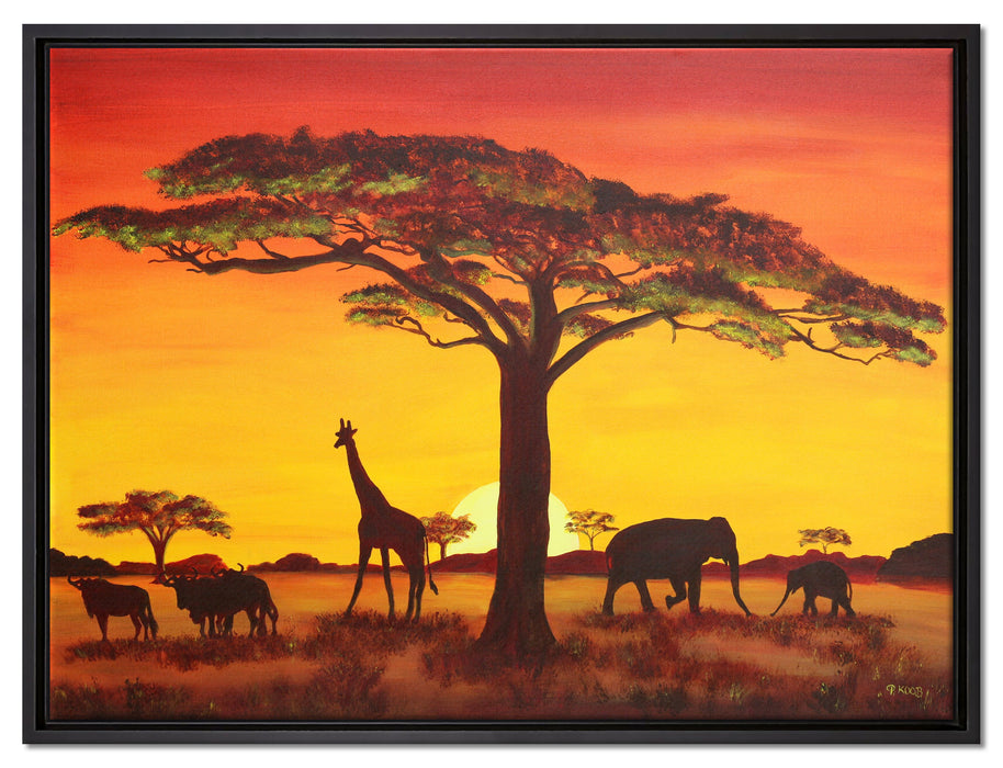 Savanne Kunst auf Leinwandbild gerahmt Größe 80x60