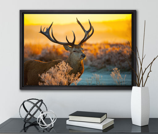 Stolzer Hirsch auf Wiese auf Leinwandbild gerahmt mit Kirschblüten