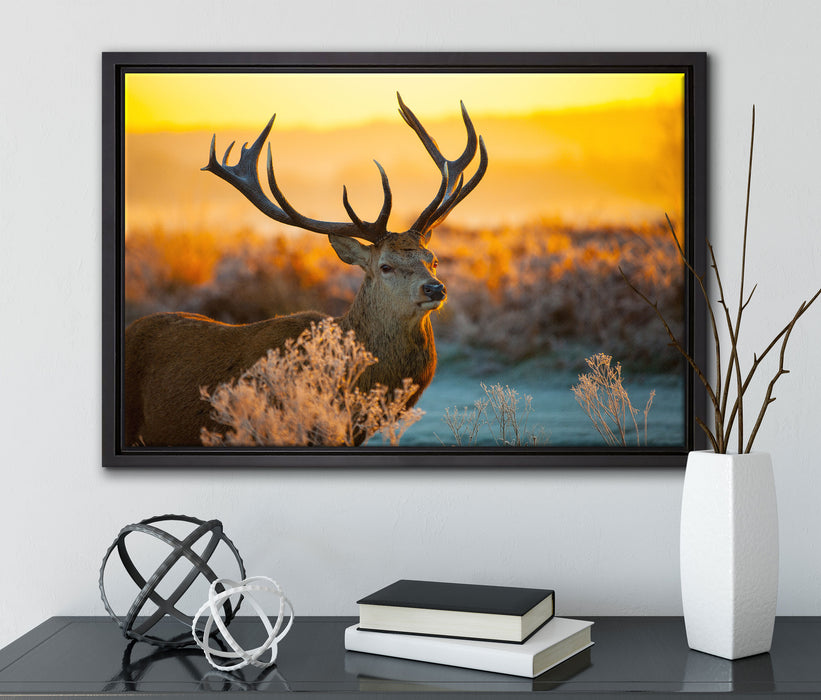 Stolzer Hirsch auf Wiese auf Leinwandbild gerahmt mit Kirschblüten