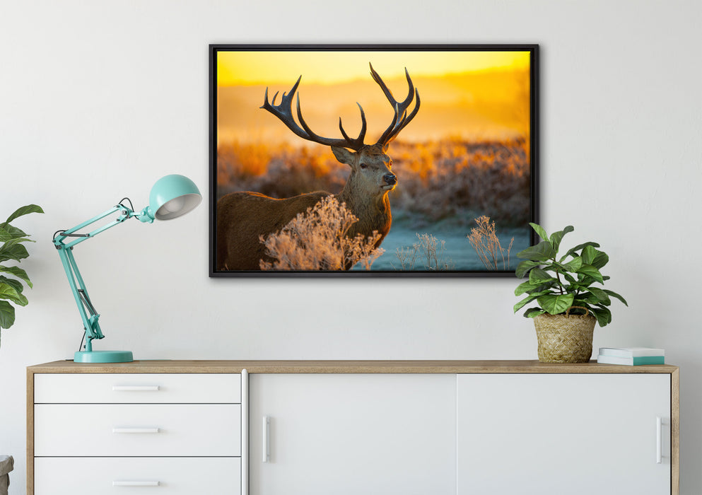 Stolzer Hirsch auf Wiese auf Leinwandbild gerahmt verschiedene Größen im Wohnzimmer
