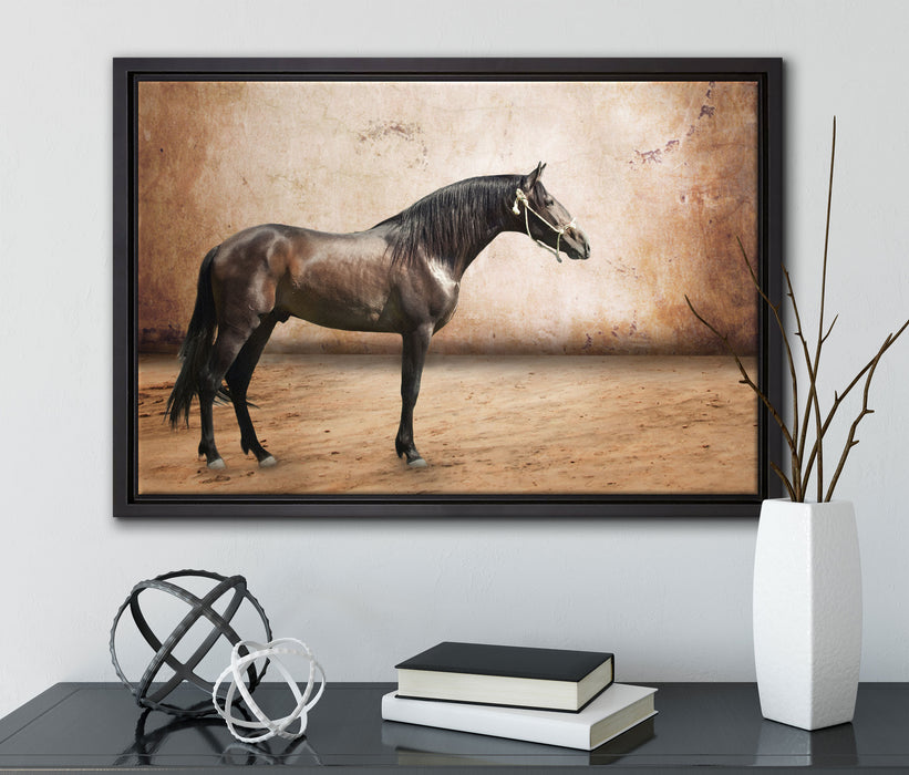 Brauner Hengst auf Leinwandbild gerahmt mit Kirschblüten