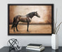 Brauner Hengst auf Leinwandbild gerahmt mit Kirschblüten